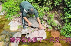农村小溪抓鱼真的能赚钱吗？如何操作才能获利？