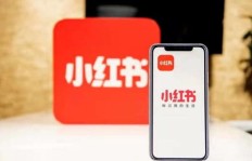 小红书上有哪些实用方法能实现稳定收益？