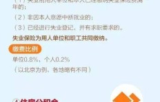残疾人从事滴滴司机工作，收入状况如何？