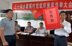 农村干部适合哪些副业？如何兼顾工作与额外收入？
