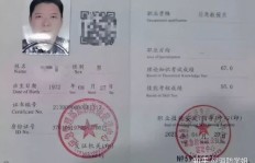 持有高级技师证能享受哪些待遇和补贴？详细解析权益福利