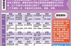午餐时间如何巧妙变现？有哪些赚钱妙招值得一试？