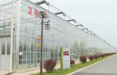 宁夏农村哪个行业最具盈利潜力？