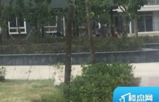 巢湖汤卞山庄房价几何？高层住宅价格又是多少？