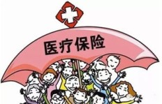 社会保险究竟是什么？缴纳后能带来哪些实际好处？