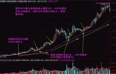 在美国股市中，是否存在那些稳赚不赔的散户高手？
