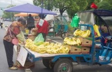 在繁华大街摆摊卖香蕉，真的能赚到钱吗？