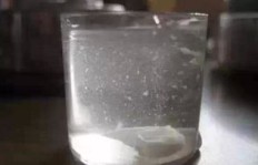 动物油提炼真的能带来可观收益吗？