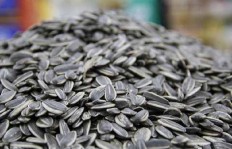 瓜子黄杨手串制作能否成为赚钱新途径？
