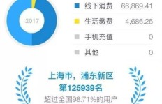 阿伟肖肖肖的赚钱能力如何？他们真的能实现财富增长吗？