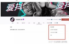 视频剪辑搬运真的能赚大钱吗？收入真相大公开！