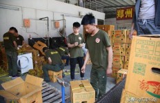 在广东批发市场，哪种商品能最快实现盈利？