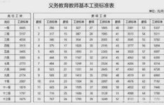 教师试用期工资标准如何？薪资范围具体涵盖哪些数值？