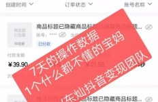 在新加坡，哪种副业能快速赚取额外收入？