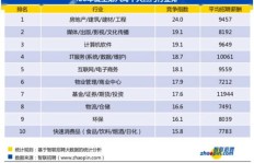 如何在众多项目中挑选出最具盈利潜力的项目？