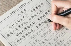赵汝飞练字加盟，真的能带来可观收益吗？