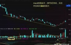 长期低吸股票策略，究竟如何实现盈利？