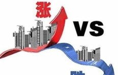 化绍新是如何在黑坑中实现盈利的？