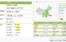 小红书如何实现盈利？详细赚钱攻略解析