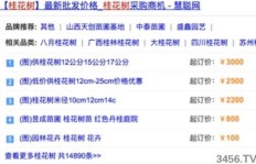 如何利用闲置土地实现最佳盈利？哪种用途最赚钱？
