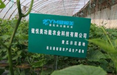 选择哪种农场经营模式才能真正实现盈利？