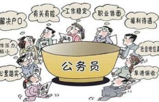 公务员如何在高校兼职？合法性与操作细节解析