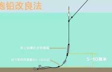 如何成为钓虾高手并实现盈利之道？