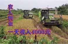农村创业选什么机器能带来高收益？