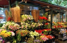 花店除了卖花还能做哪些副业增加收入？