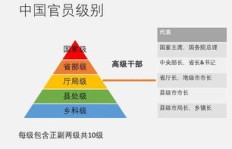 菲华是如何实现高效盈利的？你了解其中的秘诀吗？