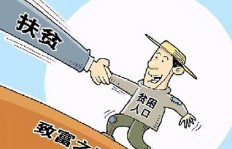 缅甸农村常见的副业种类有哪些你知道吗？