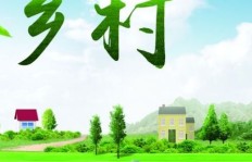 农村创业致富，究竟哪种方式最靠谱最能赚钱？