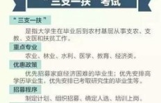 村干部兼职选择哪种职业更合适？如何兼顾工作与收益？