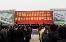 在闻喜县，哪种生意最具盈利潜力？