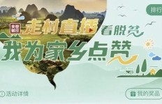 吉祥村有哪些致富机会？探寻当地赚钱之道