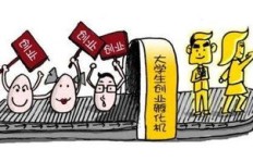 大学生创业卖大米，真的能赚到钱吗？