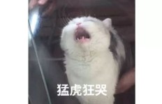 难道只想赚钱，就不需要体面了吗？
