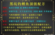 新手如何在黑坑钓鱼中实现盈利？技巧与策略全解析