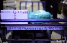 骆驼祥子是如何通过工作赚取收入的？