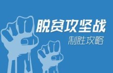 飞鸽如何实现高效盈利？你了解它的赚钱秘诀吗？