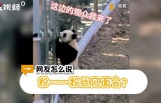 熊猫直播能否盈利？其运营状况及前景如何？