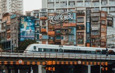 陕西蒲城县的副业发展如何？探寻当地特色产业背后的故事