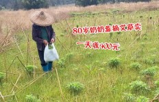 农村婆婆靠卖破烂赚钱，这样的生活可行吗？