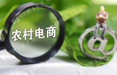 当前农村最赚钱的行业是什么？哪些项目最具发展前景？