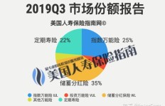 开设保险分公司能否实现盈利？投资回报率如何？