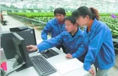 哪个行业最具＂钱＂景？探寻高薪职业的秘密