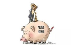 家庭养猪能否成为理想的副业选择？