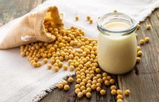 豆子批发生意真的能带来可观收益吗？