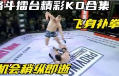格斗擂台赛能否成为赚钱途径？知乎网友热议