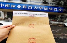 如何激活档案并将其顺利存放到人才市场？详解步骤与注意事项